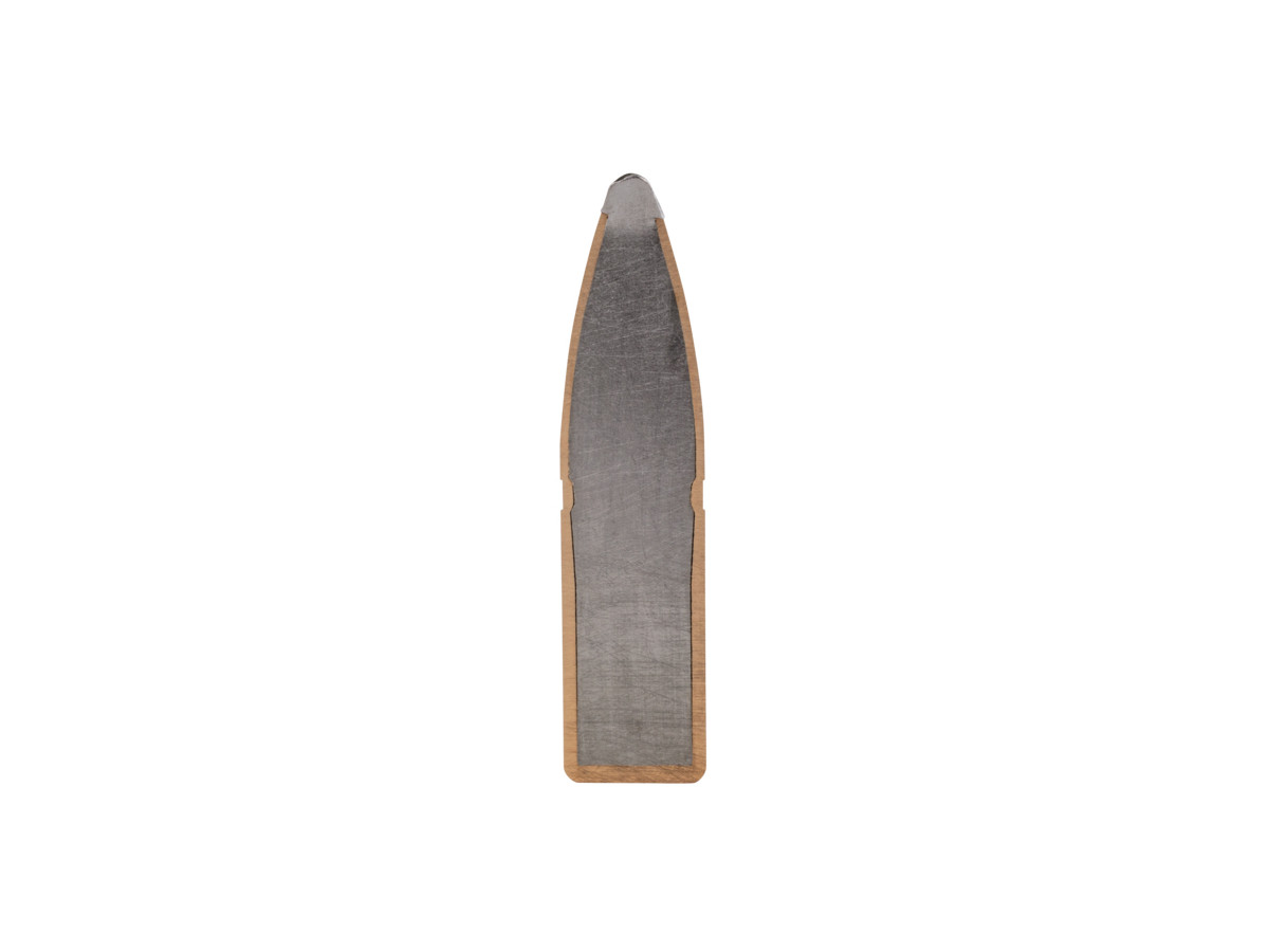 .243Win. Federal Power-Shok 100gr/6,48g SP (243B)