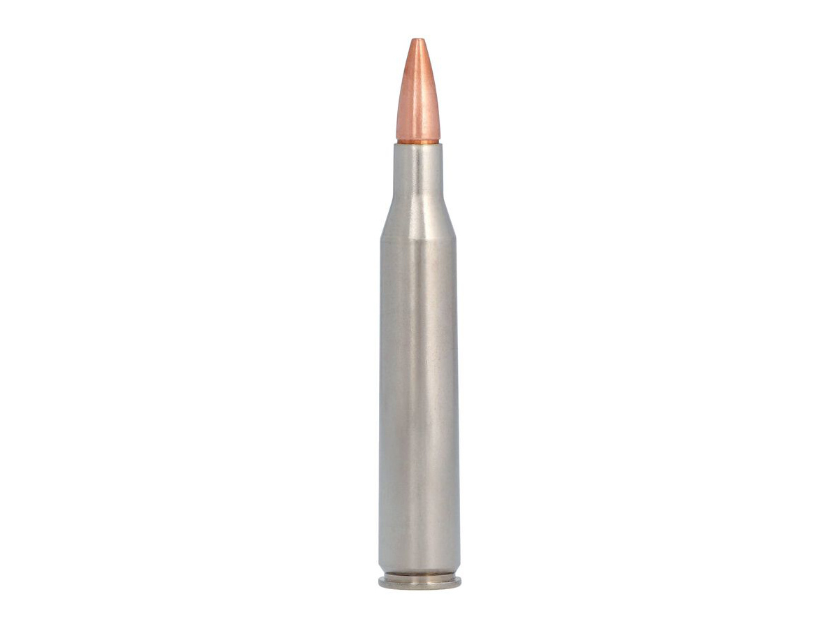 .25-06Rem. Federal Barnes TSX 100gr/6,48g (P2506H)