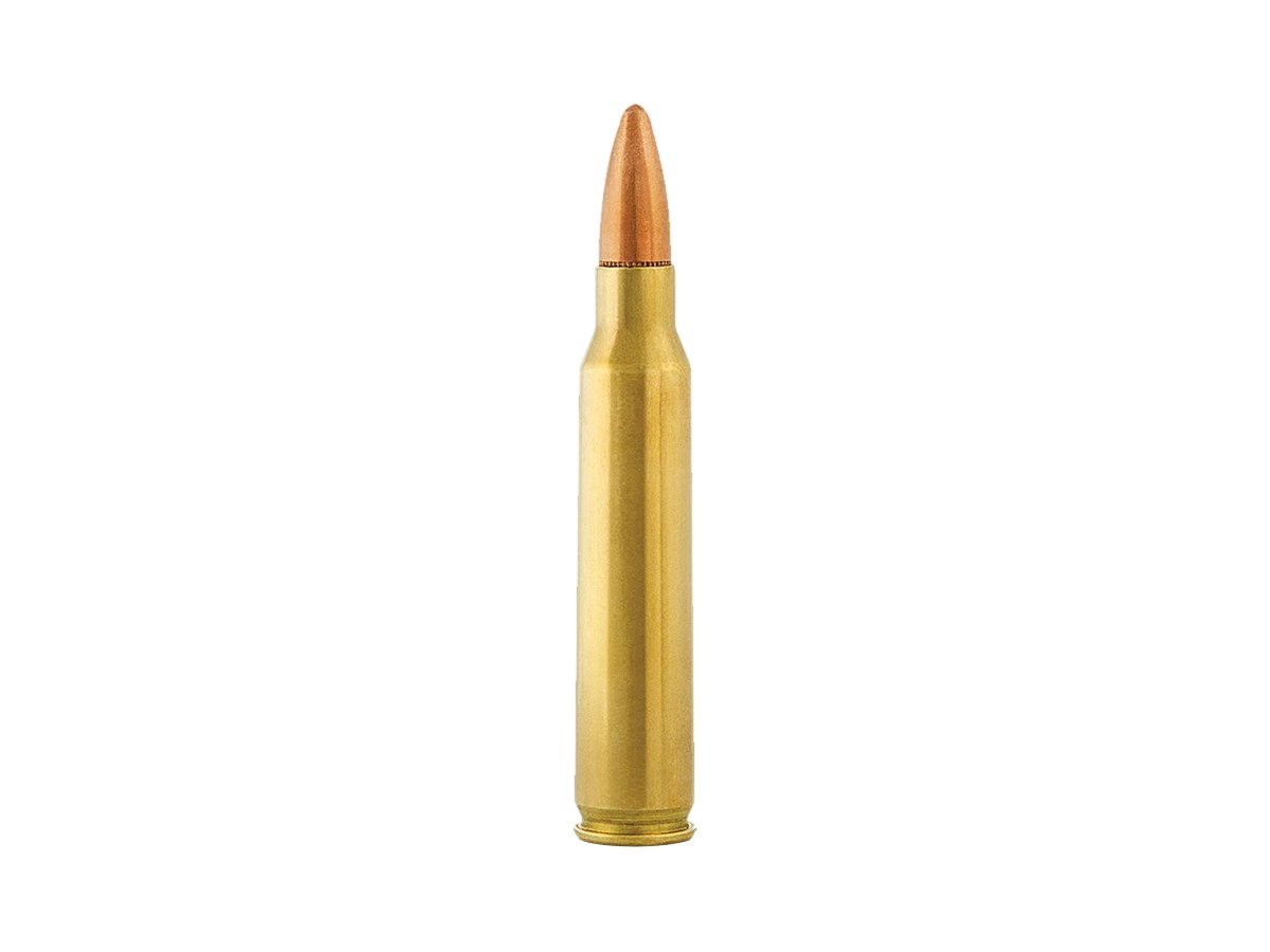 Aguila .223Rem. 55gr/3,56g FMJ (1E223110)