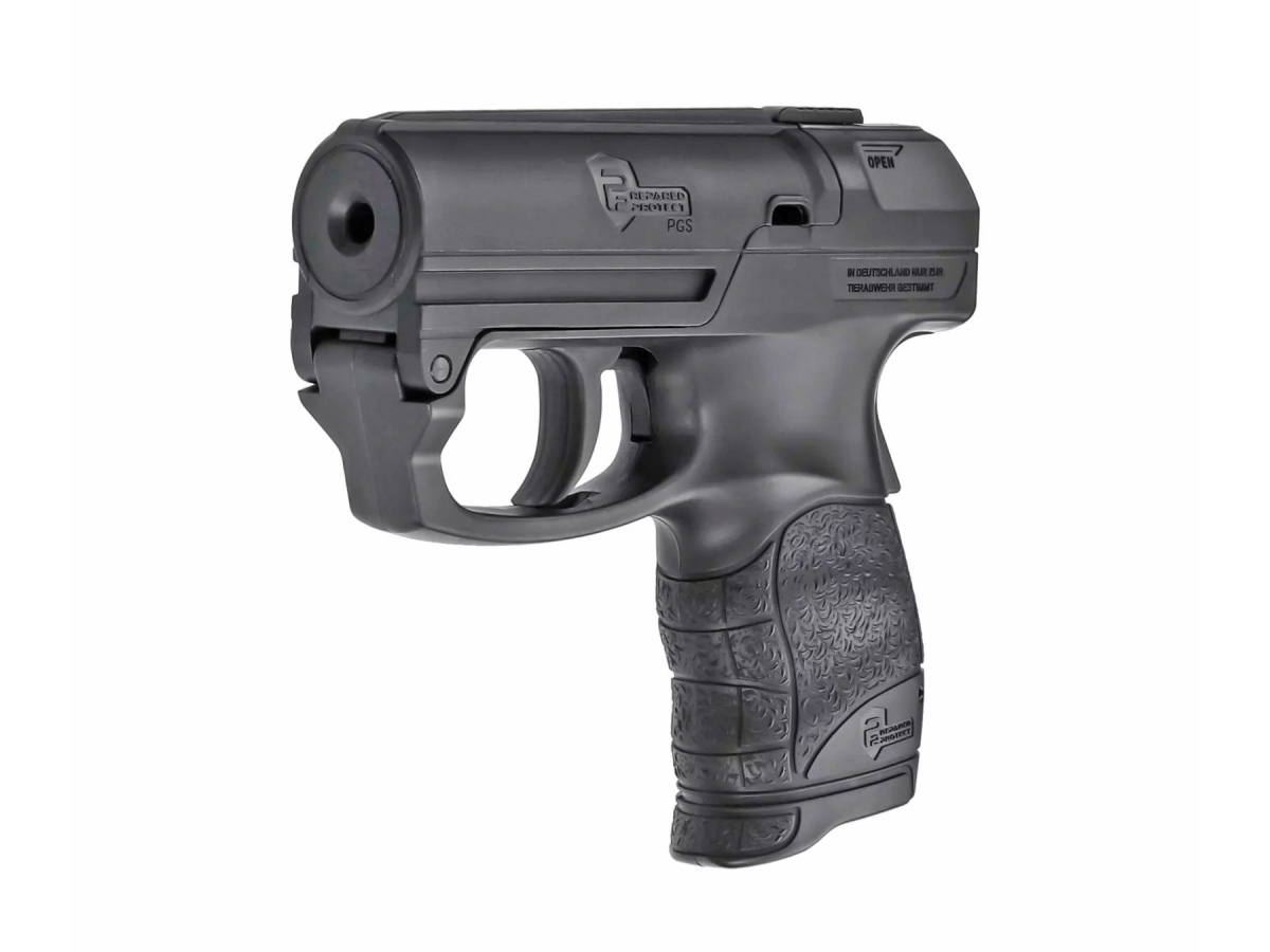 P2P PGS Personal Guard System