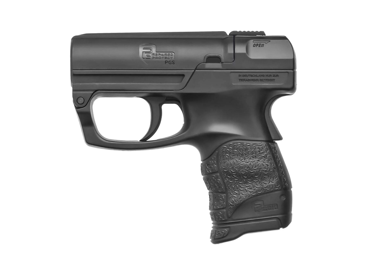 P2P PGS Personal Guard System