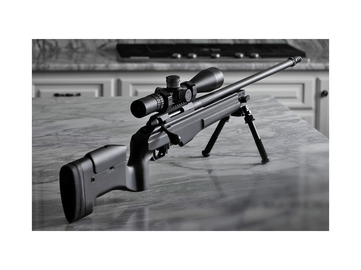 Sako TRG 22, kal. .308Win., Black Standard Stock (2010 NS M08 26in MT5/8-24)