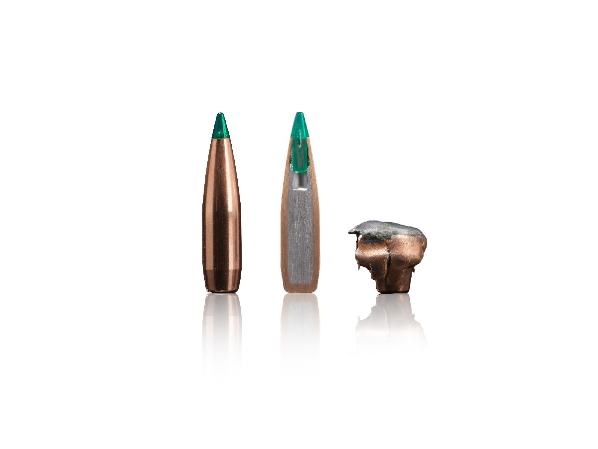 Sako .30-06Spr. 10,7g TSP Gamehead Pro
