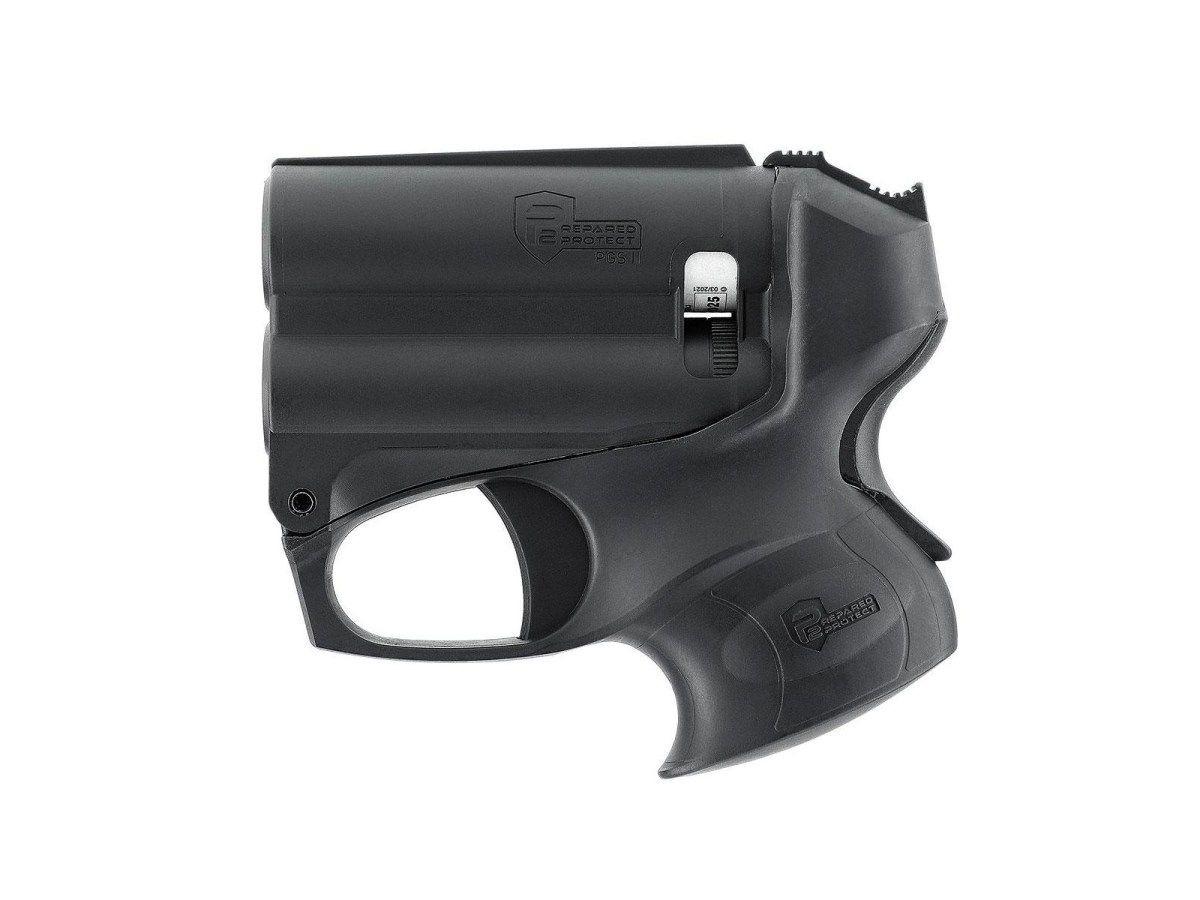 P2P PGS II Kit Personal Guard System