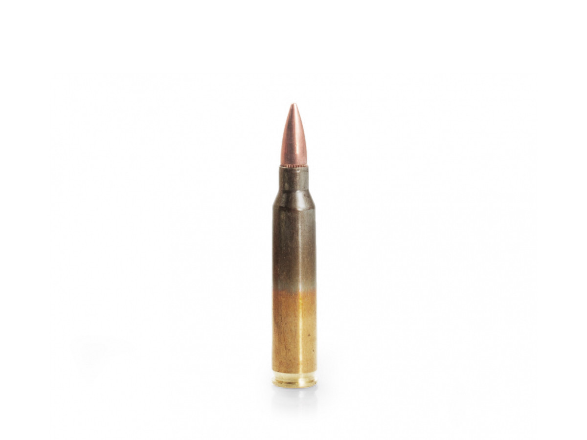 GGG .223Rem. 55gr/3,56g FMJ (GPR11)