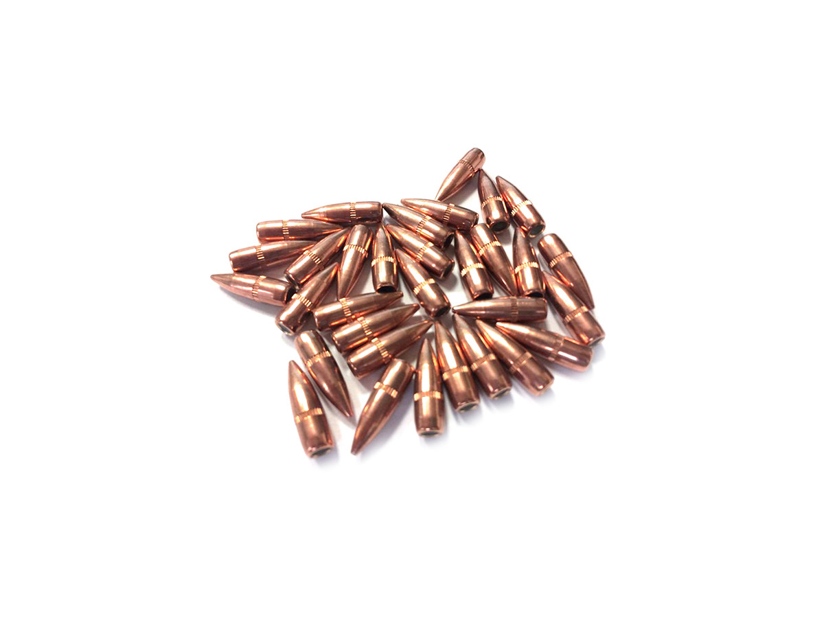 GGG .223Rem. 55gr/3,56g FMJ (GPR11)